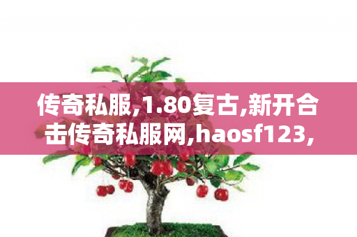 传奇私服,1.80复古,新开合击传奇私服网,haosf123,新开合击传奇私服网