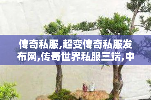 传奇私服,超变传奇私服发布网,传奇世界私服三端,中变sf传奇发布网站,传奇世界私服三端