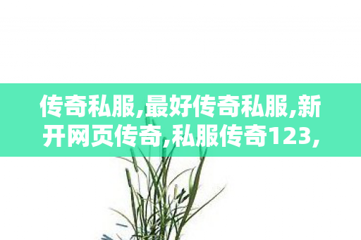 传奇私服,最好传奇私服,新开网页传奇,私服传奇123,新开网页传奇