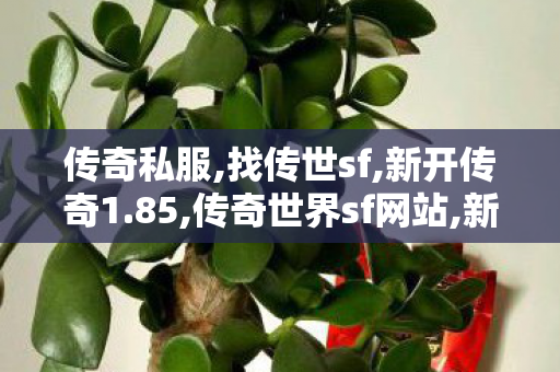 传奇私服,找传世sf,新开传奇1.85,传奇世界sf网站,新开传奇1.85