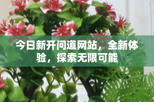 今日新开问道网站，全新体验，探索无限可能