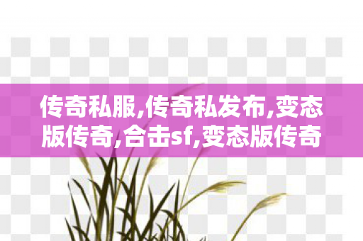 传奇私服,传奇私发布,变态版传奇,合击sf,变态版传奇