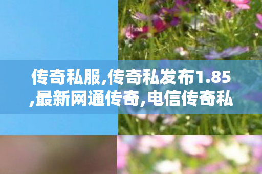 传奇私服,传奇私发布1.85,最新网通传奇,电信传奇私服发布网,最新网通传奇