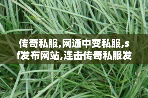 传奇私服,网通中变私服,sf发布网站,连击传奇私服发布网,sf发布网站