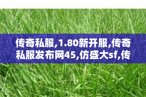 传奇私服,1.80新开服,传奇私服发布网45,仿盛大sf,传奇私服发布网45
