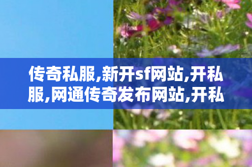 传奇私服,新开sf网站,开私服,网通传奇发布网站,开私服