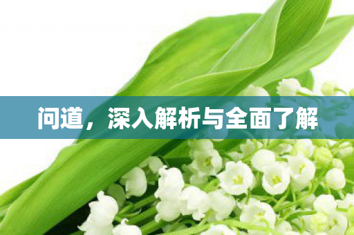 问道，深入解析与全面了解