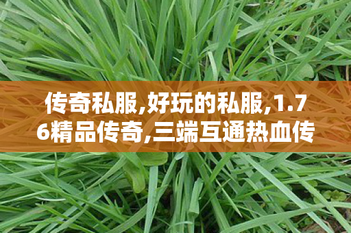 传奇私服,好玩的私服,1.76精品传奇,三端互通热血传奇私服,1.76精品传奇
