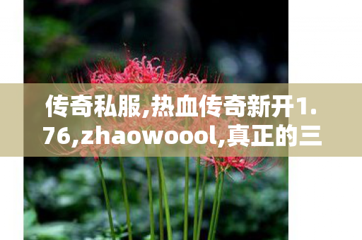 传奇私服,热血传奇新开1.76,zhaowoool,真正的三端互通传奇手游,zhaowoool
