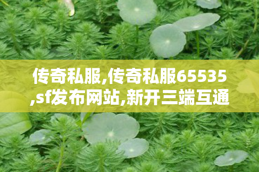 传奇私服,传奇私服65535,sf发布网站,新开三端互通传奇网站,sf发布网站