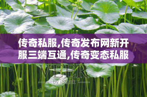 传奇私服,传奇发布网新开服三端互通,传奇变态私服,超级变态传奇私服单职业,传奇变态私服