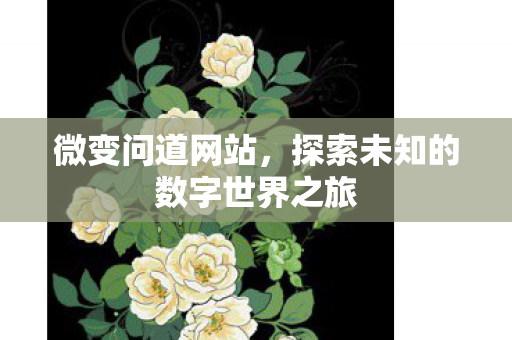 微变问道网站，探索未知的数字世界之旅