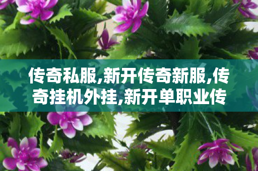 传奇私服,新开传奇新服,传奇挂机外挂,新开单职业传奇网站,传奇挂机外挂