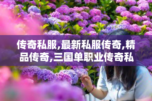 传奇私服,最新私服传奇,精品传奇,三国单职业传奇私服,精品传奇