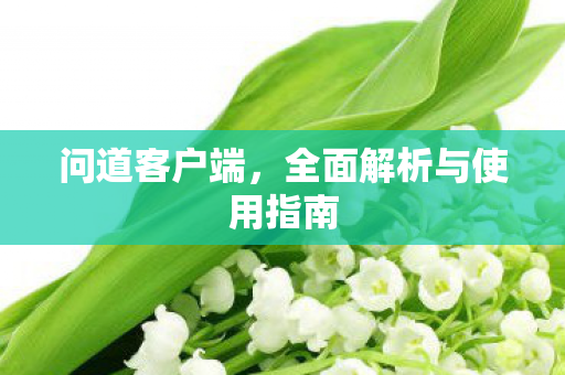 问道客户端，全面解析与使用指南