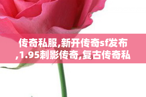 传奇私服,新开传奇sf发布,1.95刺影传奇,复古传奇私服发布网站,1.95刺影传奇
