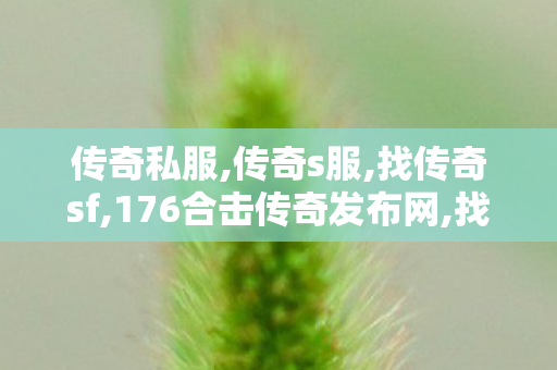 传奇私服,传奇s服,找传奇sf,176合击传奇发布网,找传奇sf
