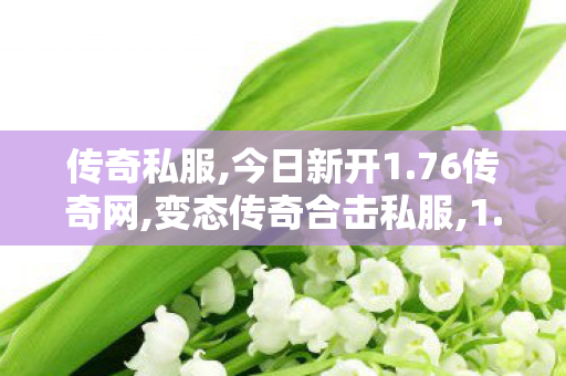 传奇私服,今日新开1.76传奇网,变态传奇合击私服,1.76版本传奇私服,变态传奇合击私服