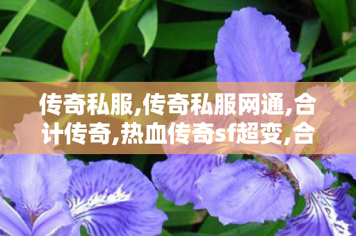 传奇私服,传奇私服网通,合计传奇,热血传奇sf超变,合计传奇