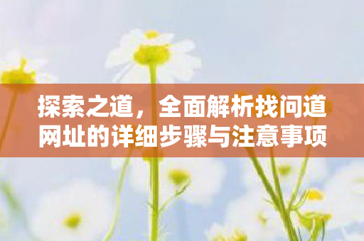 探索之道，全面解析找问道网址的详细步骤与注意事项