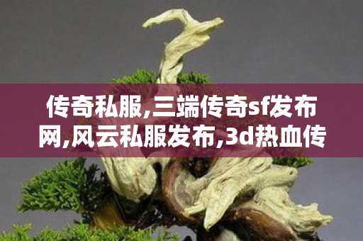 传奇私服,三端传奇sf发布网,风云私服发布,3d热血传奇,风云私服发布