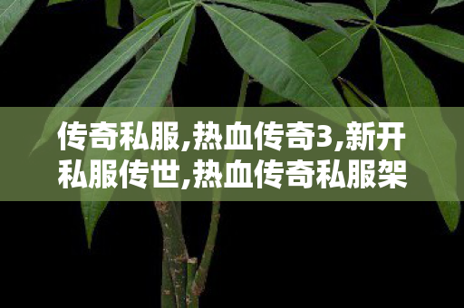 传奇私服,热血传奇3,新开私服传世,热血传奇私服架设,新开私服传世