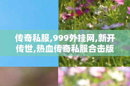 传奇私服,999外挂网,新开传世,热血传奇私服合击版,新开传世