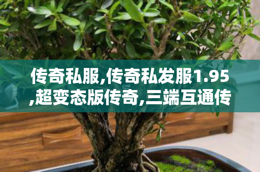 传奇私服,传奇私发服1.95,超变态版传奇,三端互通传奇,超变态版传奇