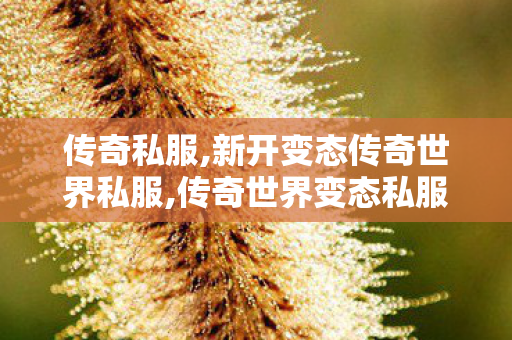 传奇私服,新开变态传奇世界私服,传奇世界变态私服,单职业传奇官网,传奇世界变态私服