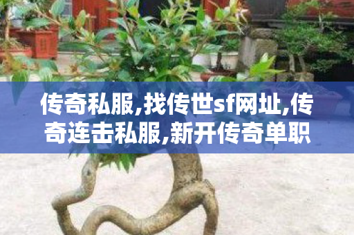 传奇私服,找传世sf网址,传奇连击私服,新开传奇单职业私服,传奇连击私服