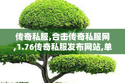 传奇私服,合击传奇私服网,1.76传奇私服发布网站,单职业迷失传奇网站发布网,1.76传奇私服发布网站