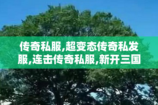 传奇私服,超变态传奇私发服,连击传奇私服,新开三国传奇私服,连击传奇私服