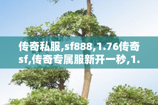 传奇私服,sf888,1.76传奇sf,传奇专属服新开一秒,1.76传奇sf