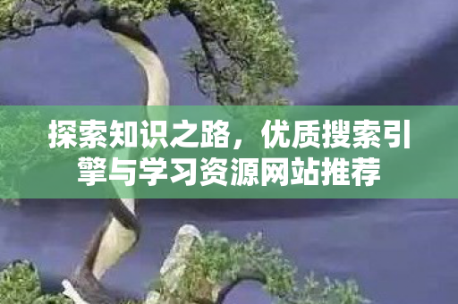 探索知识之路，优质搜索引擎与学习资源网站推荐