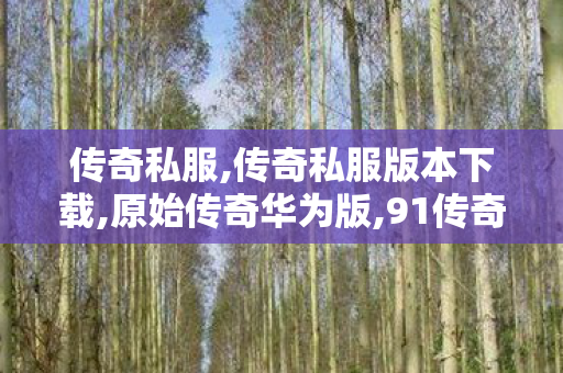 传奇私服,传奇私服版本下载,原始传奇华为版,91传奇私服,原始传奇华为版