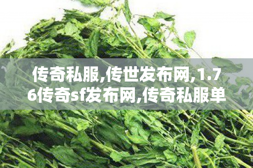 传奇私服,传世发布网,1.76传奇sf发布网,传奇私服单职业,1.76传奇sf发布网