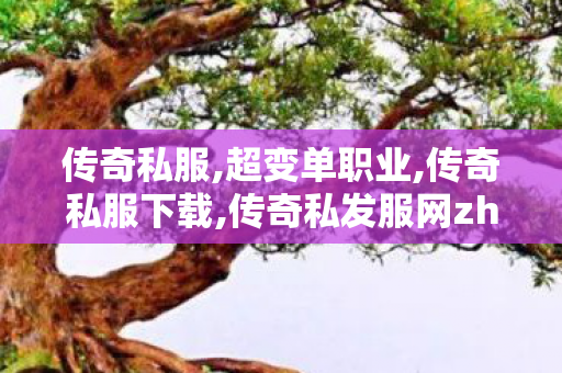 传奇私服,超变单职业,传奇私服下载,传奇私发服网zhaosf,传奇私服下载