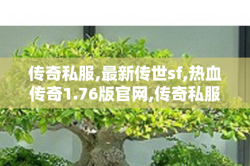 传奇私服,最新传世sf,热血传奇1.76版官网,传奇私服发布网999,热血传奇1.76版官网
