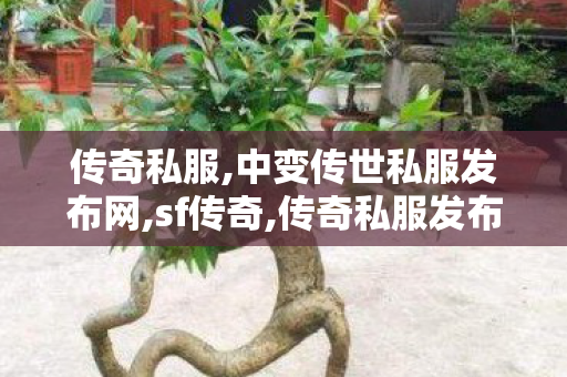 传奇私服,中变传世私服发布网,sf传奇,传奇私服发布网刚开一秒,sf传奇