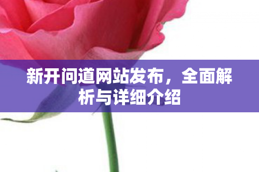 新开问道网站发布，全面解析与详细介绍
