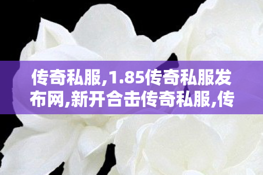 传奇私服,1.85传奇私服发布网,新开合击传奇私服,传奇私服1.80战神版,新开合击传奇私服