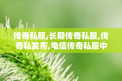 传奇私服,长期传奇私服,传奇私发布,电信传奇私服中变,传奇私发布