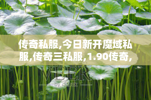传奇私服,今日新开魔域私服,传奇三私服,1.90传奇,传奇三私服