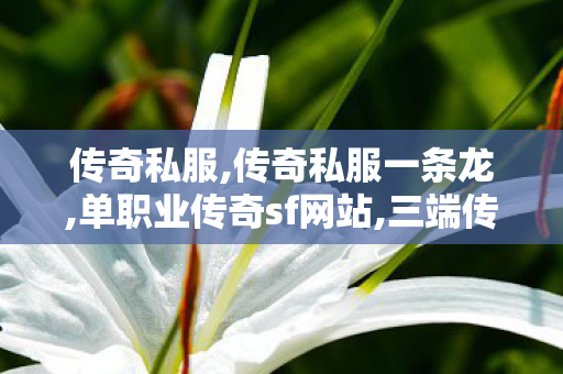 传奇私服,传奇私服一条龙,单职业传奇sf网站,三端传奇私服,单职业传奇sf网站