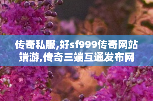 传奇私服,好sf999传奇网站端游,传奇三端互通发布网,三端传奇发布网新开服,传奇三端互通发布网