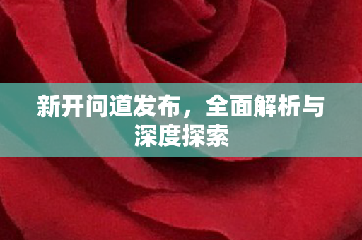 新开问道发布，全面解析与深度探索