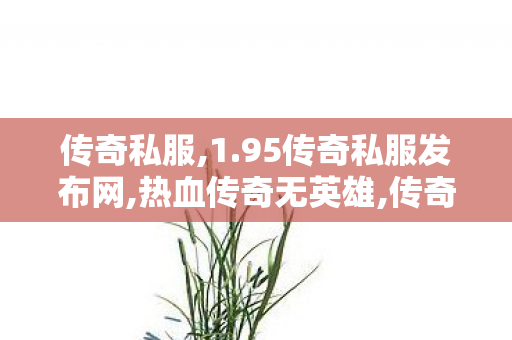传奇私服,1.95传奇私服发布网,热血传奇无英雄,传奇sf999,热血传奇无英雄