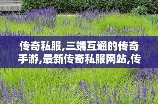 传奇私服,三端互通的传奇手游,最新传奇私服网站,传奇sf999发布网,最新传奇私服网站
