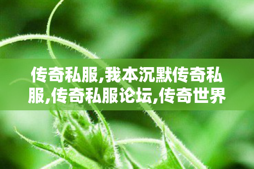 传奇私服,我本沉默传奇私服,传奇私服论坛,传奇世界私服三端,传奇私服论坛