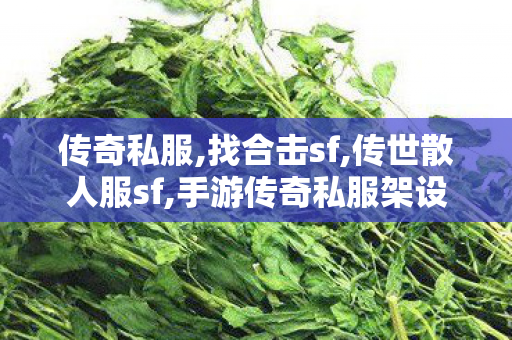 传奇私服,找合击sf,传世散人服sf,手游传奇私服架设,传世散人服sf